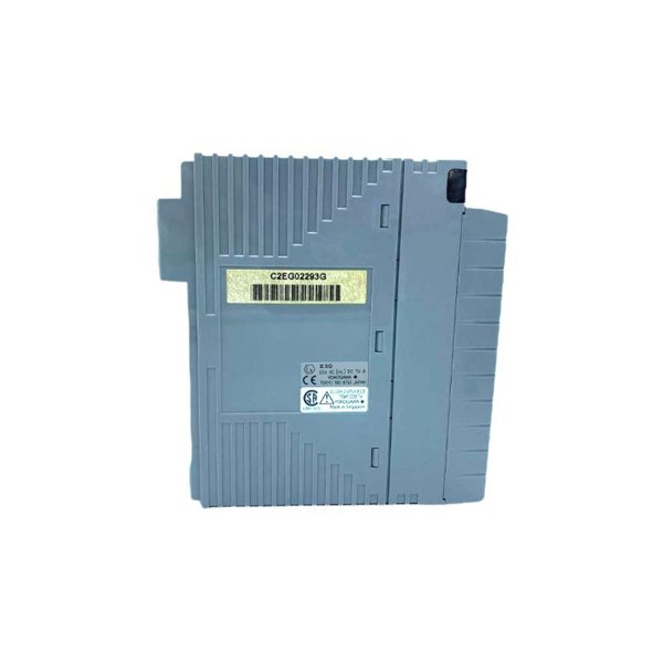 Yokogawa AAI141-H00/K4A00 Analog Input Module