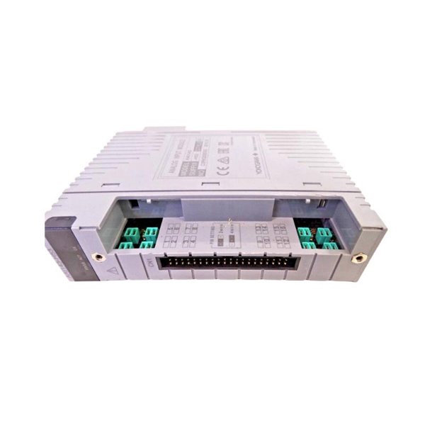Yokogawa AAI143-H53 S1 Analog Input Module