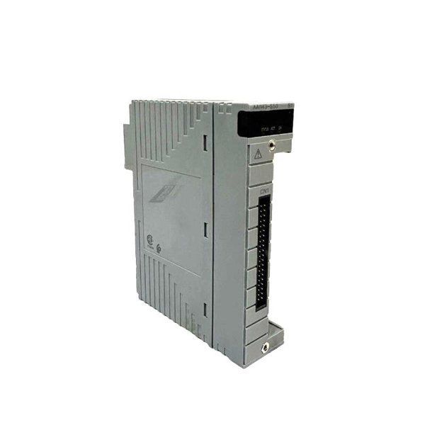 Yokogawa AAI143-S50/A4S10 Analog Input Module