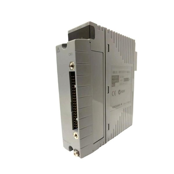 Yokogawa AAI841-H00/CCC01 Analog I/O Module