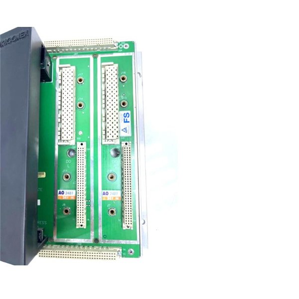 Triconex AO2481 7400209-010 Analog Output Baseplate