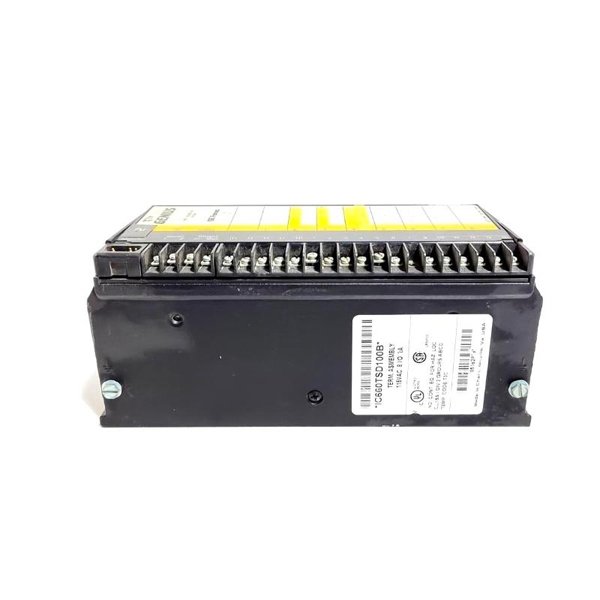 General Electric IC660TSD100 Terminal Assembly