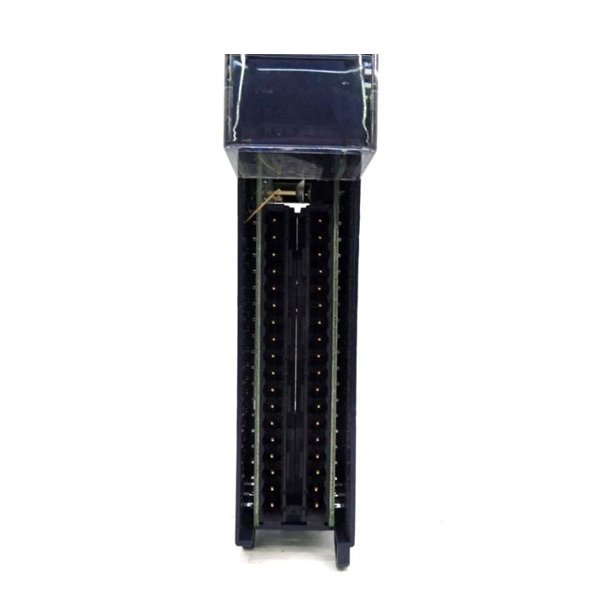 General Electric IC694MDL660-BC RX3i Input Module