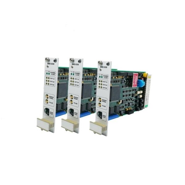 Epro MMS6310 Dual Channel Key pulse Monitor