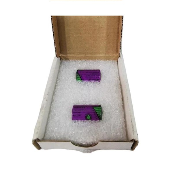 ABB SB808F 3BDM000199R1 RAM Buffer Battery