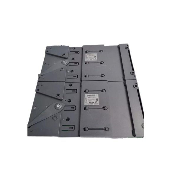 ICS Triplex T8891 Speed ​​Monitor Output Field Termination Assembly