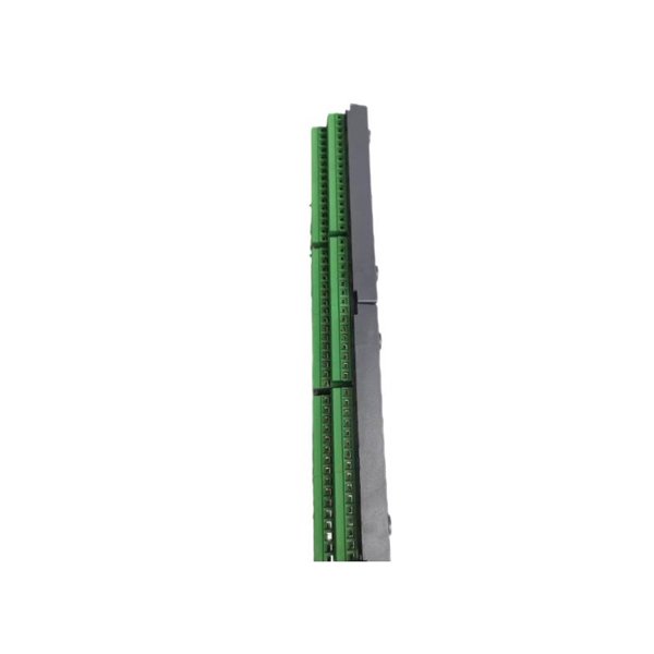 ICS Triplex T8891 Speed ​​Monitor Output Field Termination Assembly
