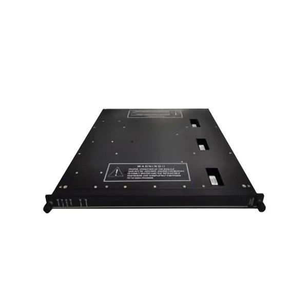 Triconex 3617E Supervised Digital Output Module