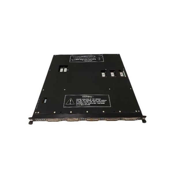 Triconex 4119 Enhanced Intelligent Module