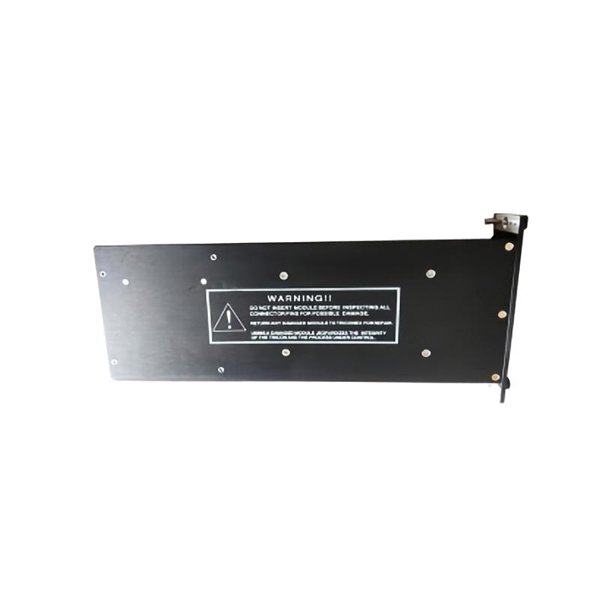 Triconex 8301A Power Supply Module