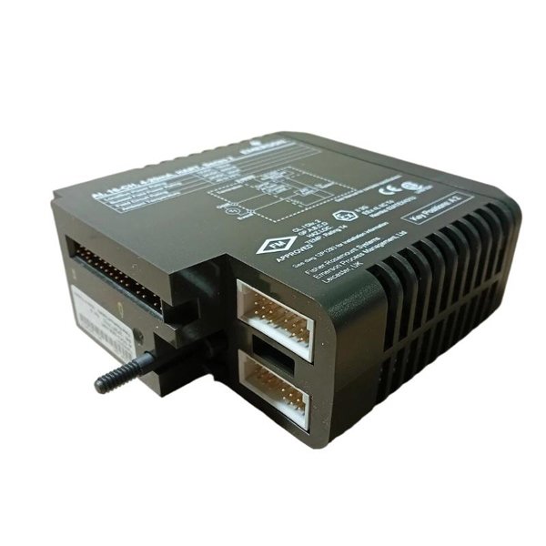 Emerson VE4003S2B6 Analog Input Card