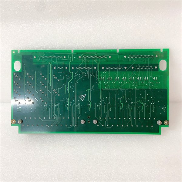 GE Fanuc IS200TVIBH2BBB Mark VIe™ Vibration Monitoring Module