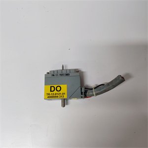 Triconex 4000094-313 Analog Input Module