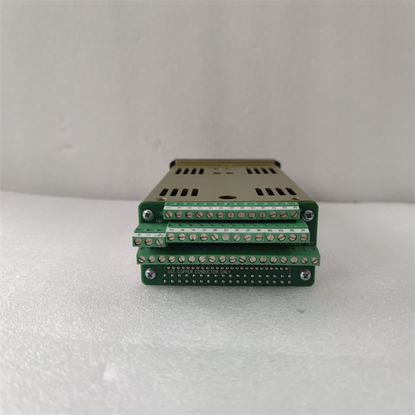 Watlow CLS204 204-C10000AA temperature controller