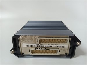 Foxboro FBM224 P0926GG Fieldbus Interface Module