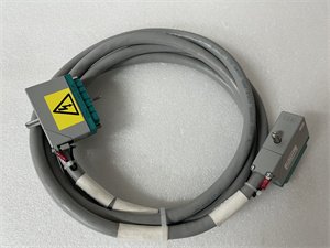 Triconex 4000093-110N Digital Input Module