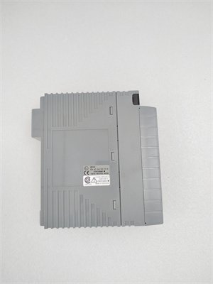 Yokogawa AAI141-H50/K4A00 Analog Input Module