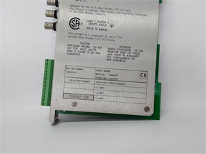 Bently Nevada 132419-01 Relay output module