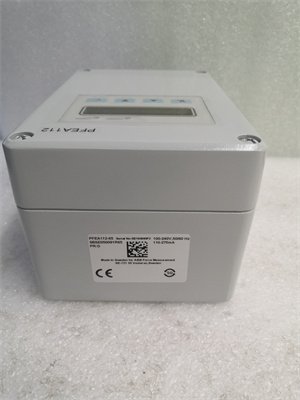 ABB PFEA112-65 3BSE030369R65 PLC module