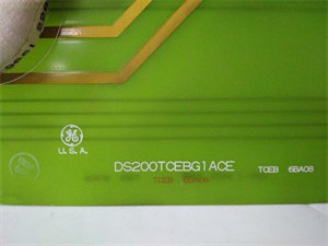 General Electric DS200TCEBG1ACE Protective Termination Expander Board