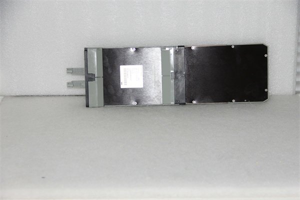 Foxboro FBM04 Analog Output Module