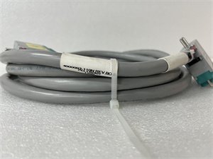 Triconex 4000093-110N Digital Input Module