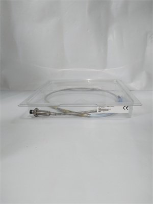 Bently Nevada 330704-00-50-10-01-CN vibration monitoring module