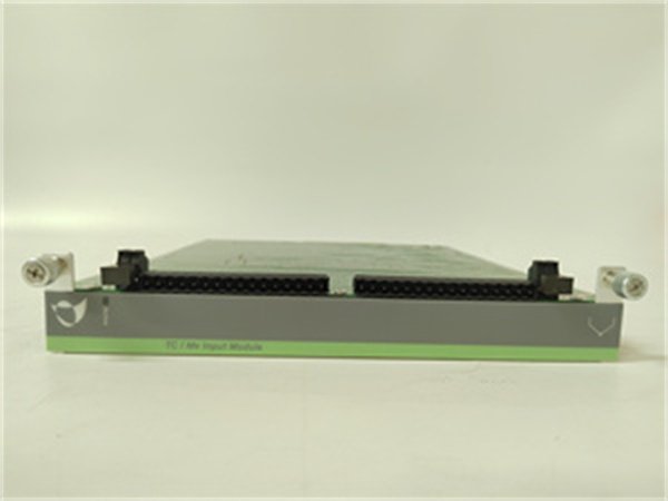 METSO IOP304 Entry-Level Analog Input Module