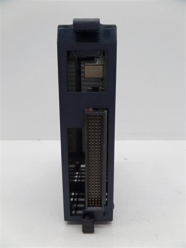 General Electric IC695DEM004 Mixed Digital I/O Module