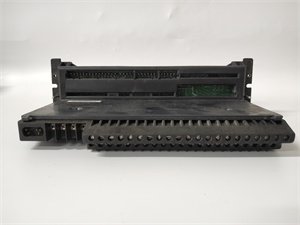 General Electric IC660TBD024 I/O Module