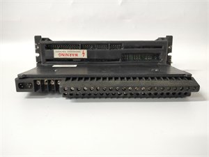 General Electric IC660TBD025 I/O Terminal Assembly