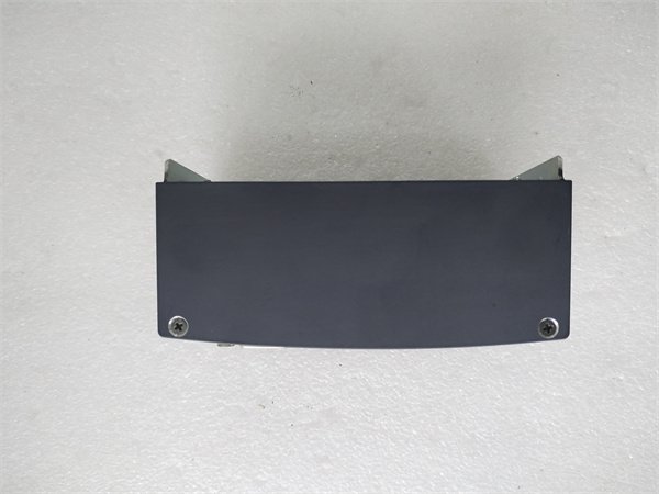 Bachmann DPM200 DIN-Rail Power Supply Module