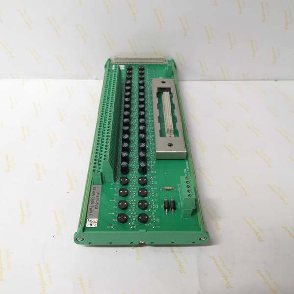 ICS Triplex T8800 40-Channel 24V DC Digital Input FTA