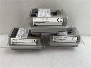 Bently Nevada 990-10-XX-02-00,163930-01 Vibration Transmitter