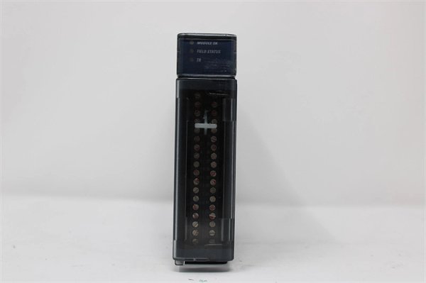 General Electric IC693NIU004-JH Remote I/O (RIO) Network Interface Unit