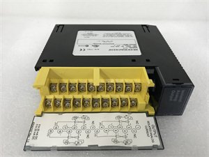 GE Fanuc HE693DAC420 Isolated Analog Output Module