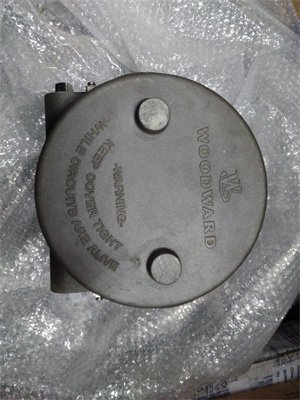 Woodward 9907-1200 Digital Speed Controller