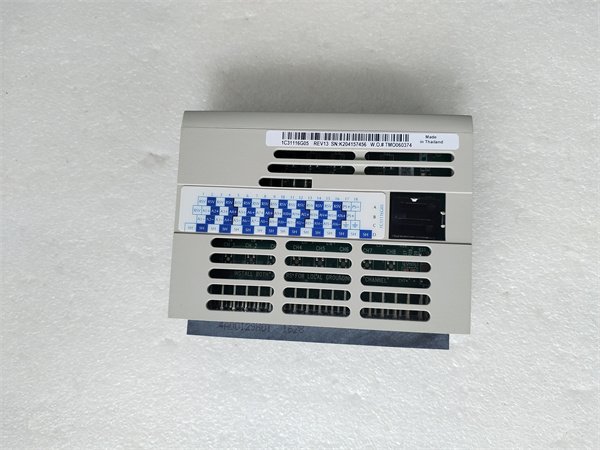 Emerson 1C31116G05 Advanced I/O Module