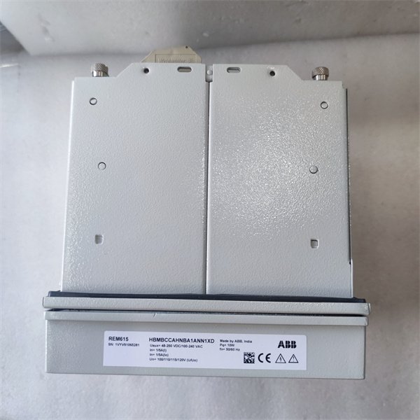 ABB REU615E_D HBUAEAADNCA1BNN1XD Industrial Ethernet Router/Switch Module