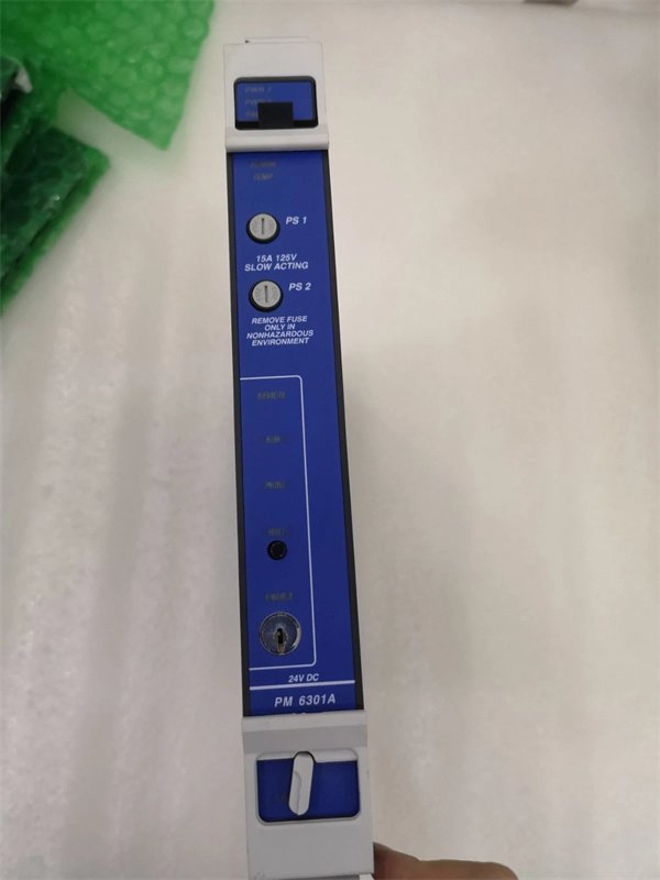 Triconex PM6301A power module