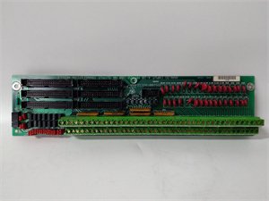 General Electric DS200TBQCG1AAA Analog Input/Milliamp I/O Termination Module