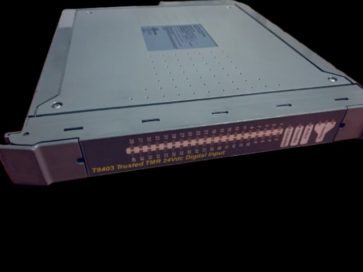 ICS Triplex T8403 Digital Input Module