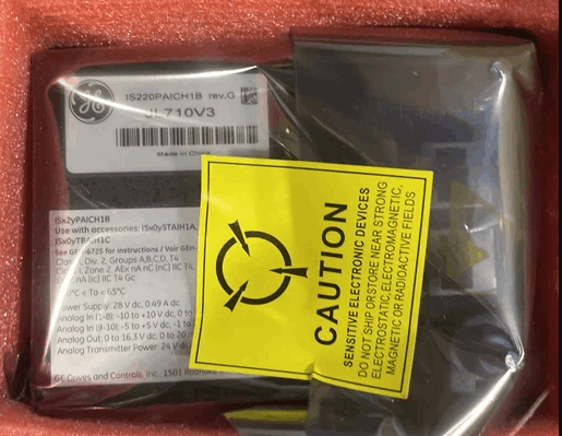 General Electric IS220PAICH1B Analog Input/Output Module