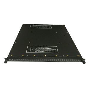 Triconex 3625 TMR 24VDC Digital Output Module Brand New