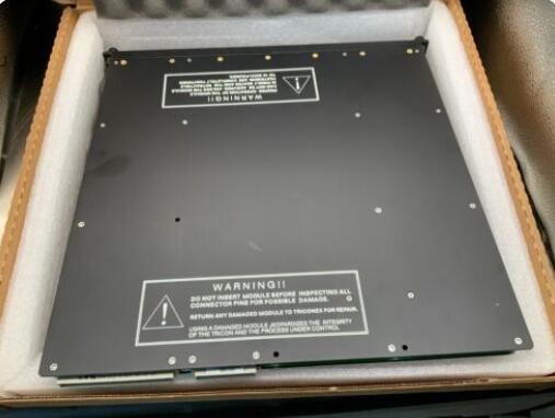 Triconex 3008 Main Processor