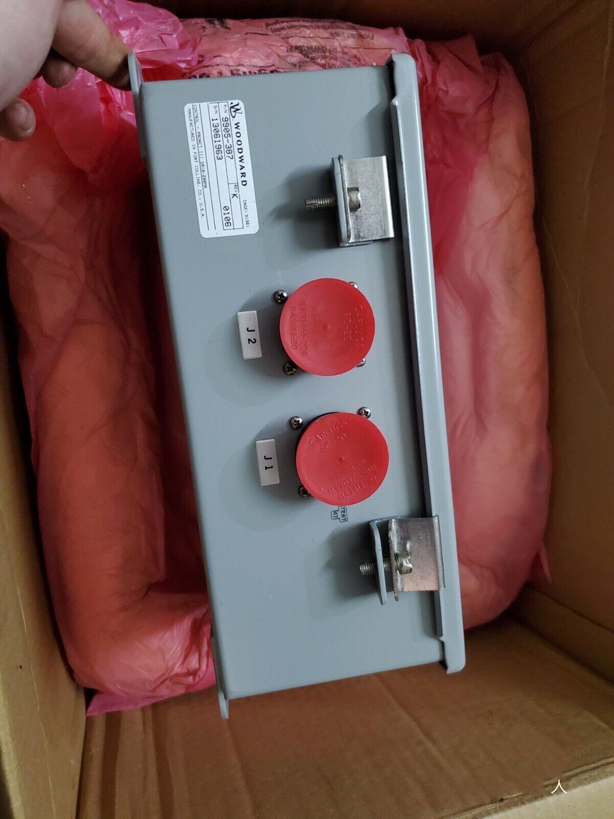 Woodward 9905-387 Module