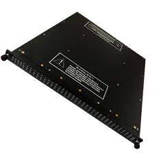 Triconex 3624 Digital Output Modules