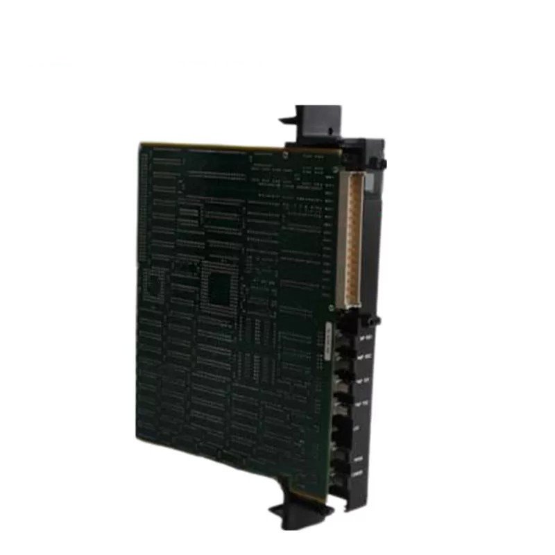 GE Fanuc DS215SLCCG1AZZ01B Digital Input Module