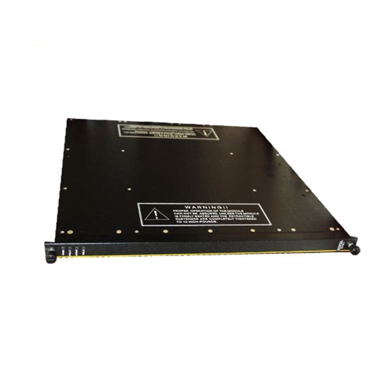 Triconex 4210 Remote Extender Modules