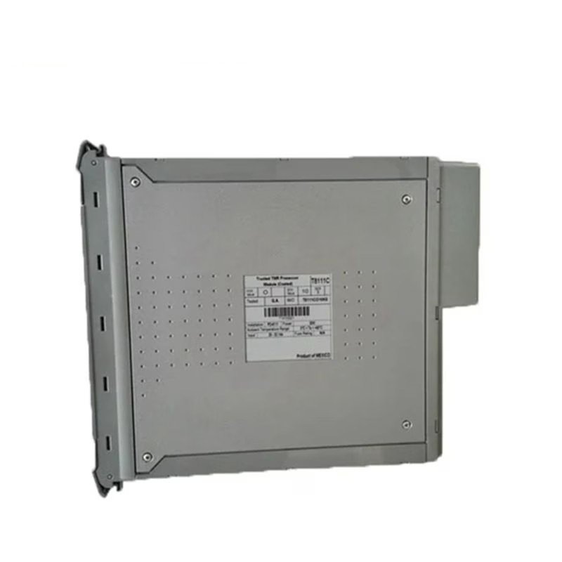 ICS Triplex TC60102 2-Channel Thermocouple Input Module